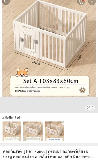 พุดเดิ้ลทอย รูปที่ 13