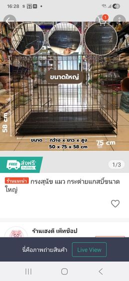 กรงกระต่าย รูปที่ 3