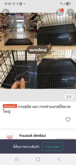 กรงกระต่าย รูปที่ 2