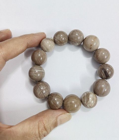 สร้อยข้อมือไม้กลายเป็นหิน รูปที่ 9