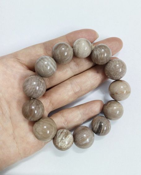 สร้อยข้อมือไม้กลายเป็นหิน รูปที่ 8