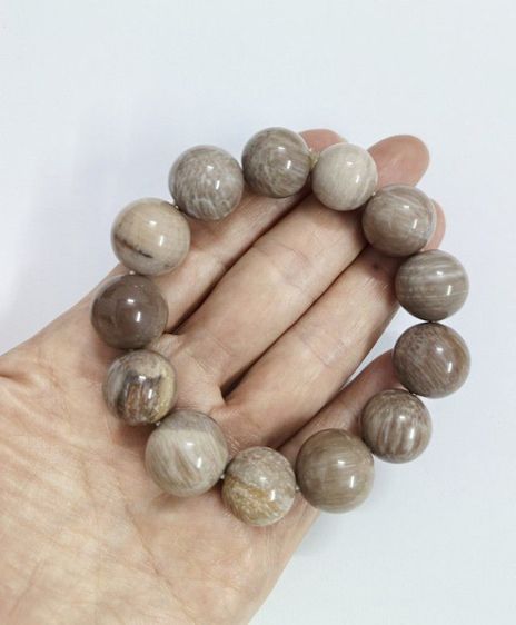 สร้อยข้อมือไม้กลายเป็นหิน รูปที่ 6