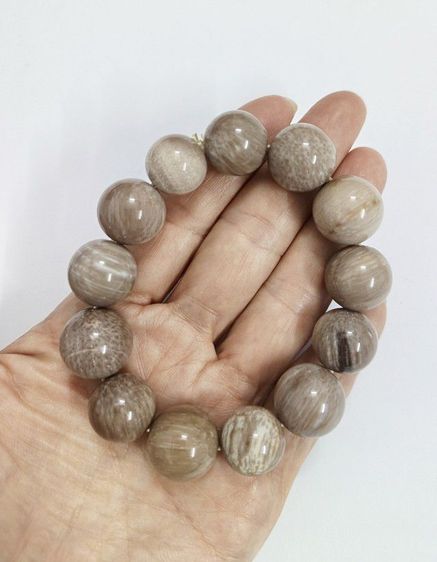 สร้อยข้อมือไม้กลายเป็นหิน รูปที่ 7