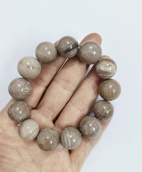 สร้อยข้อมือไม้กลายเป็นหิน รูปที่ 10