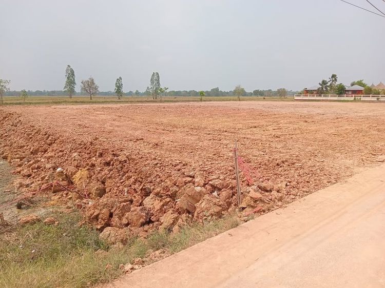 ที่ดิน รูปที่ 2