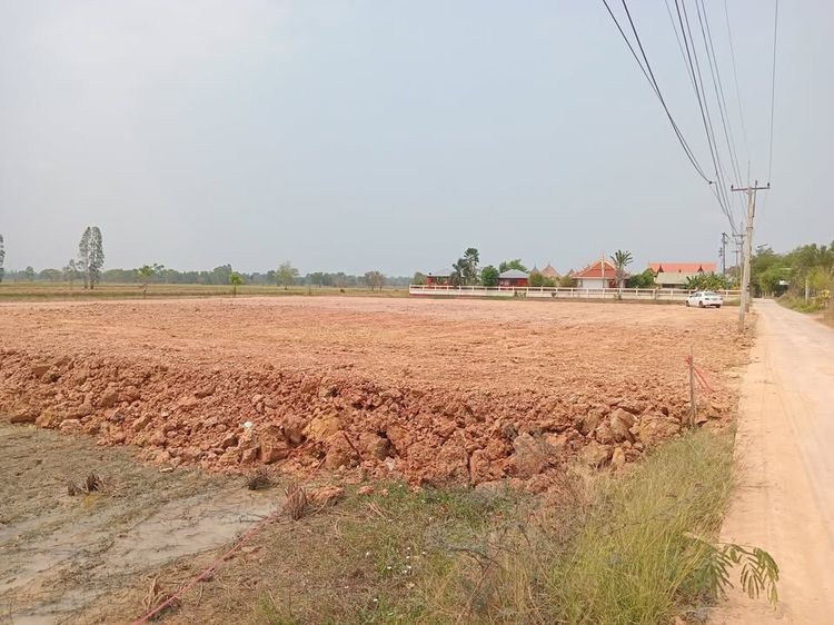 ที่ดิน รูปที่ 3