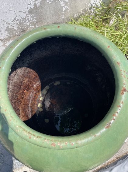 โอ่งเขียวไข่กา รูปที่ 7