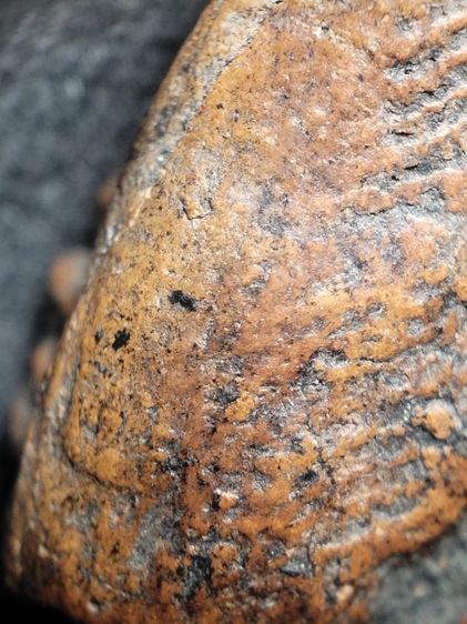 พระรอดลำพูนพิมพ์ใหญ่เนื้อแดงครับมีรานหลังนิดนึง รูปที่ 14