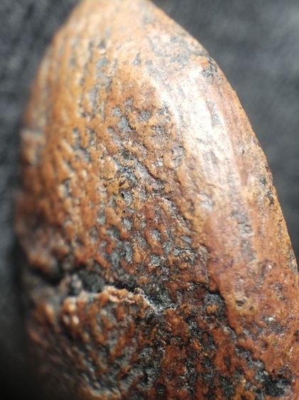 พระรอดลำพูนพิมพ์ใหญ่เนื้อแดงครับมีรานหลังนิดนึง รูปที่ 17