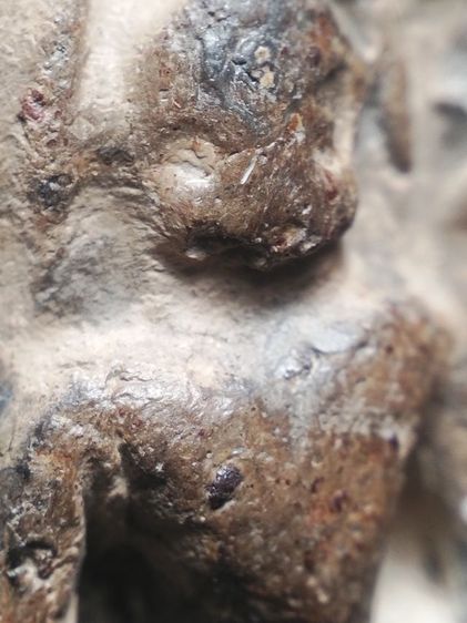 กำแพงซุ้มกอครับ รูปที่ 3