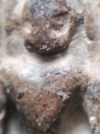 กำแพงซุ้มกอครับ รูปที่ 6