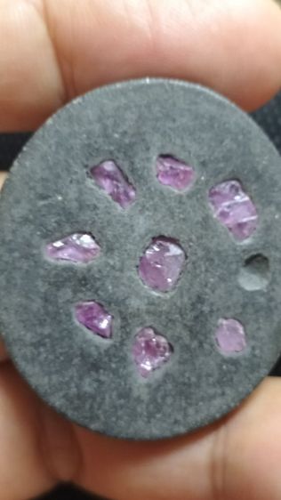 นกสาริกาคู่ครูบากฤษณะ รูปที่ 12