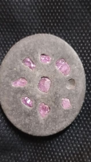 นกสาริกาคู่ครูบากฤษณะ รูปที่ 4