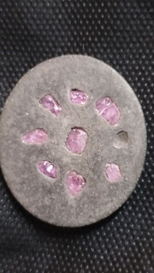 นกสาริกาคู่ครูบากฤษณะ รูปที่ 2