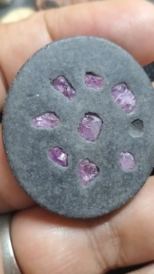 นกสาริกาคู่ครูบากฤษณะ รูปที่ 8