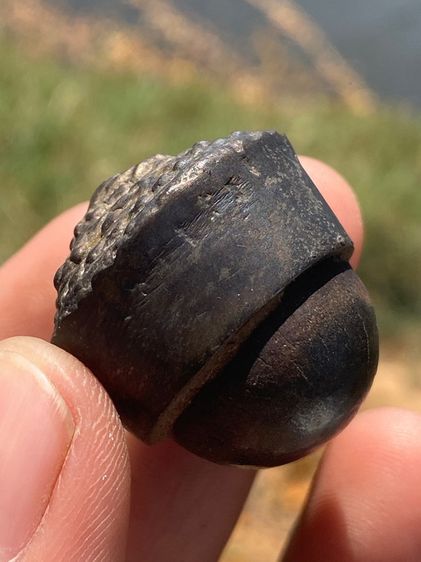 เครื่องรางของแปลก รูปที่ 10