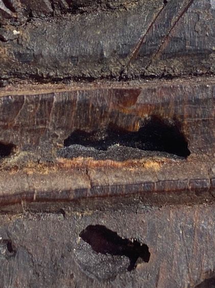 พระเชียงรุ้งล้านช้าง รูปที่ 17