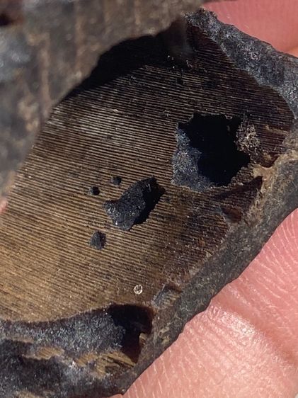 พระเชียงรุ้งล้านช้าง รูปที่ 18