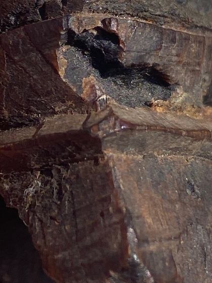 พระเชียงรุ้งล้านช้าง รูปที่ 9