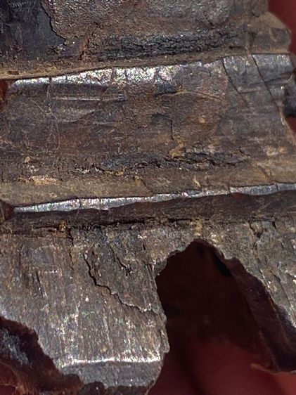 พระเชียงรุ้งล้านช้าง รูปที่ 10