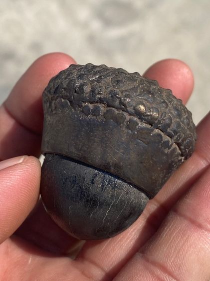 เครื่องรางของแปลก รูปที่ 9