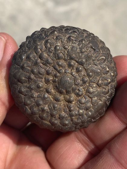 เครื่องรางของแปลก รูปที่ 7