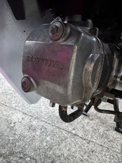 HONDA SUPER CUB เครื่องดีมาก สีสวยมาก ต้องมาดูของจริง มีสถานที่ให้ทดลองขับขี่ก่อนซื้อ รูปที่ 8