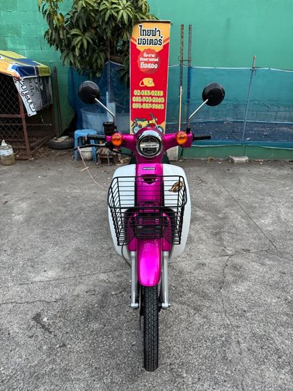 HONDA SUPER CUB เครื่องดีมาก สีสวยมาก ต้องมาดูของจริง มีสถานที่ให้ทดลองขับขี่ก่อนซื้อ รูปที่ 5