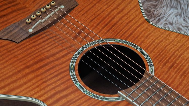 ขาย Takamine PTU-121 รูปที่ 5