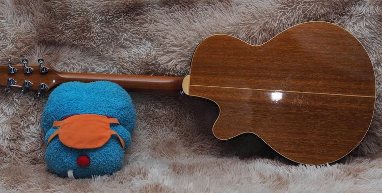 ขาย Takamine PTU-121 รูปที่ 2