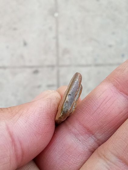 รูปหล่อพระกลีบบัว หลังพระปิดตาหลวงพ่อโบ้ย วัดมะนาว รูปที่ 6