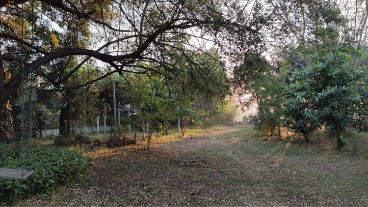 ใช่ ขายที่ดินราชบุรี รูปที่ 4