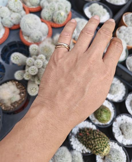 แหวน​ Cartier​ trinity​ ทองคำแท้​ 18k​ แบ่งปันราคาดีที่สุดในตลาดครับ รูปที่ 8