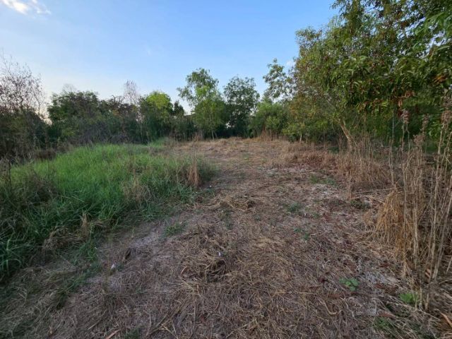 ใช่ ที่ดินถมแล้ว รูปที่ 2