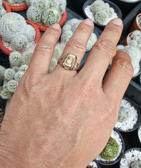 แหวนรุ่นทองคำแท้​ 10k​ USA​ ปี​ 1965 สภาพนี้หายากมาก​ แบ่งปันกันครับ รูปที่ 9