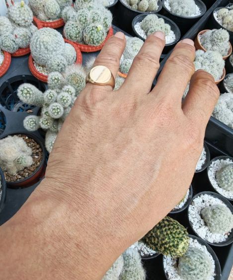 แหวนทองคำแท้​ 9k​ England​ หายากมาก​ แบ่งปันชนหลอมครับ รูปที่ 9