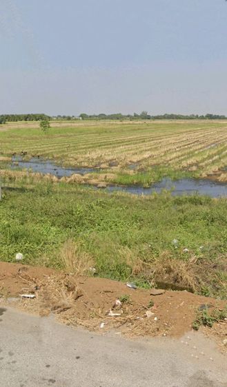 ใช่ ที่ดินเปล่าติดถนนทางหลวง มีนบุรี-ฉะเชิงเทรา รูปที่ 2