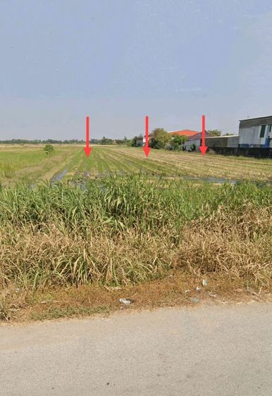 ใช่ ที่ดินเปล่าติดถนนทางหลวง มีนบุรี-ฉะเชิงเทรา รูปที่ 3