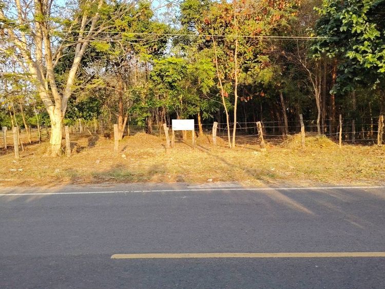  ที่ดินใกล้เมืองมุกดาหาร