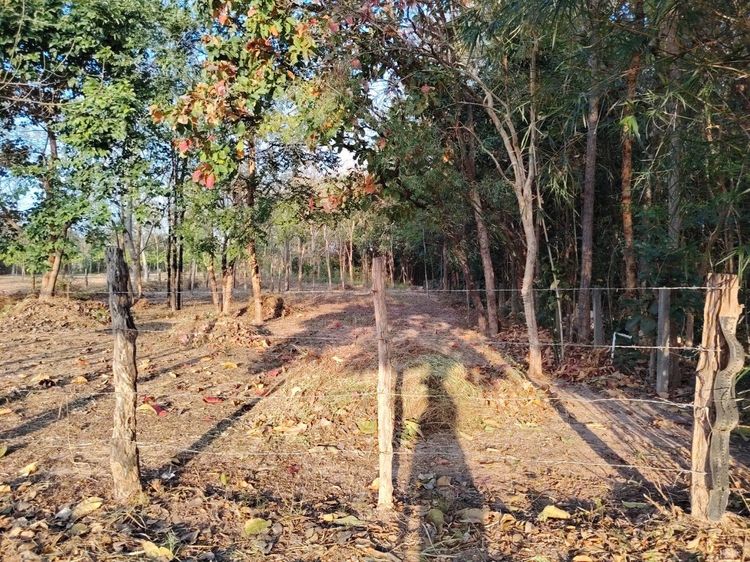  ที่ดินใกล้เมืองมุกดาหาร รูปที่ 2