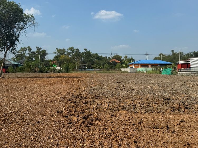 ที่ดิน 1 ไร่ ถมแล้ว รูปที่ 2