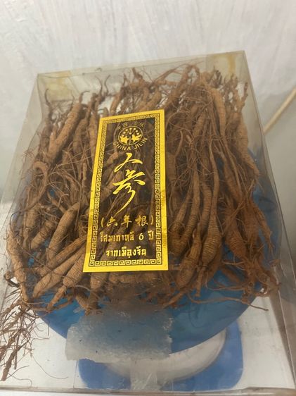 โสมเกาหลีเก่า