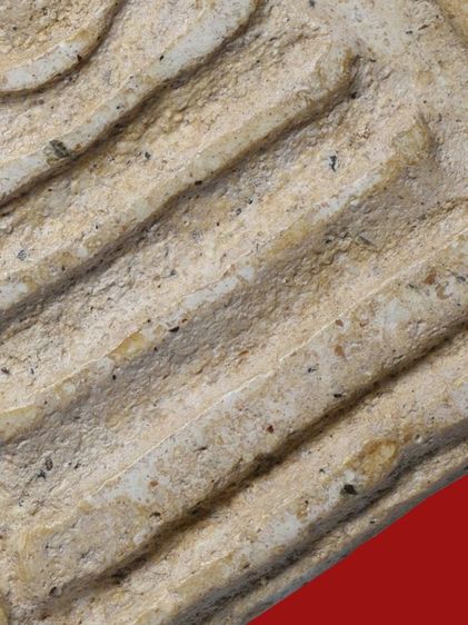 เปิดกรุ ให้เช่าบูชา พระบ้านของบรรพบุรุษ พระสมเด็จวัดระฆัง พิมพ์ใหญ่  มีมวลสาร รูปที่ 18