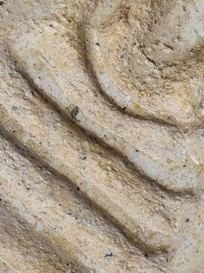 เปิดกรุ ให้เช่าบูชา พระบ้านของบรรพบุรุษ พระสมเด็จวัดระฆัง พิมพ์ใหญ่  มีมวลสาร รูปที่ 4