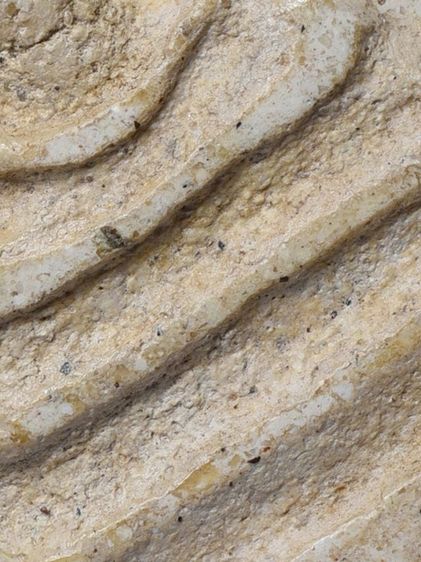 เปิดกรุ ให้เช่าบูชา พระบ้านของบรรพบุรุษ พระสมเด็จวัดระฆัง พิมพ์ใหญ่  มีมวลสาร รูปที่ 17