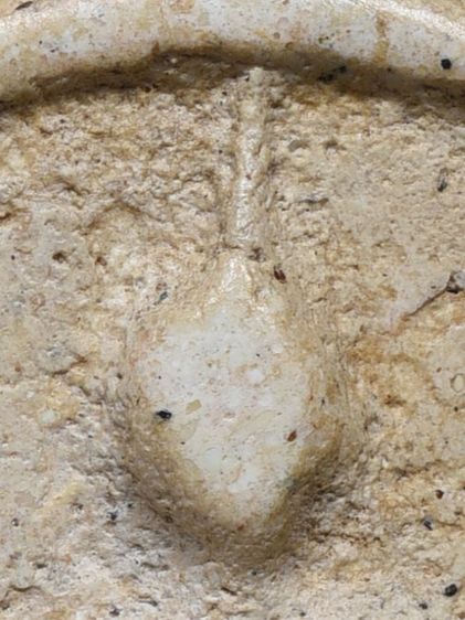 เปิดกรุ ให้เช่าบูชา พระบ้านของบรรพบุรุษ พระสมเด็จวัดระฆัง พิมพ์ใหญ่  มีมวลสาร รูปที่ 8