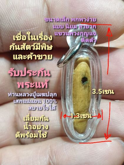 ปลัดขิกหลวงปู่เมฆ เด่นในด้านการสัตว์มีพิษ เช่นงู และ การค้าขาย สภาพ เลี่ยมพร้อมใช้ รับประกันทันหลวงปู่เมฆปลุกเสก ขนาดเล็กกะทัดรัด พกพาสะดวก