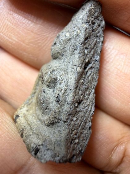 พระเก่าๆเหมาๆบ้านๆ พระคนแก่เก่าๆเก็บ ทิ้งใว้ก่อนจากไป ให้ยายดูแลเเทน ขายเหมาๆออกมาตามประสาคนบ้านๆ 081-3330446 L.tonyabu รูปที่ 7