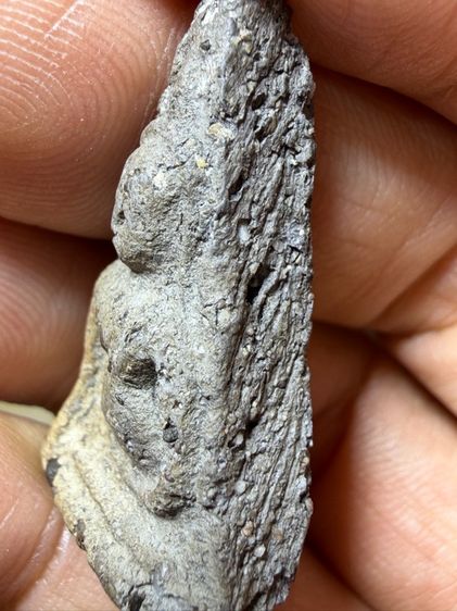 พระเก่าๆเหมาๆบ้านๆ พระคนแก่เก่าๆเก็บ ทิ้งใว้ก่อนจากไป ให้ยายดูแลเเทน ขายเหมาๆออกมาตามประสาคนบ้านๆ 081-3330446 L.tonyabu รูปที่ 16