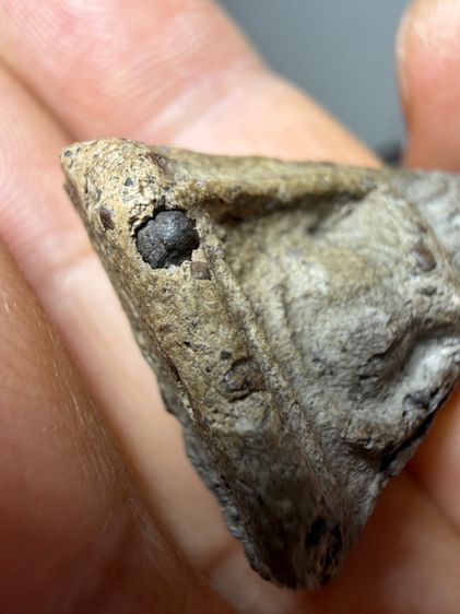 พระเก่าๆเหมาๆบ้านๆ พระคนแก่เก่าๆเก็บ ทิ้งใว้ก่อนจากไป ให้ยายดูแลเเทน ขายเหมาๆออกมาตามประสาคนบ้านๆ 081-3330446 L.tonyabu รูปที่ 11